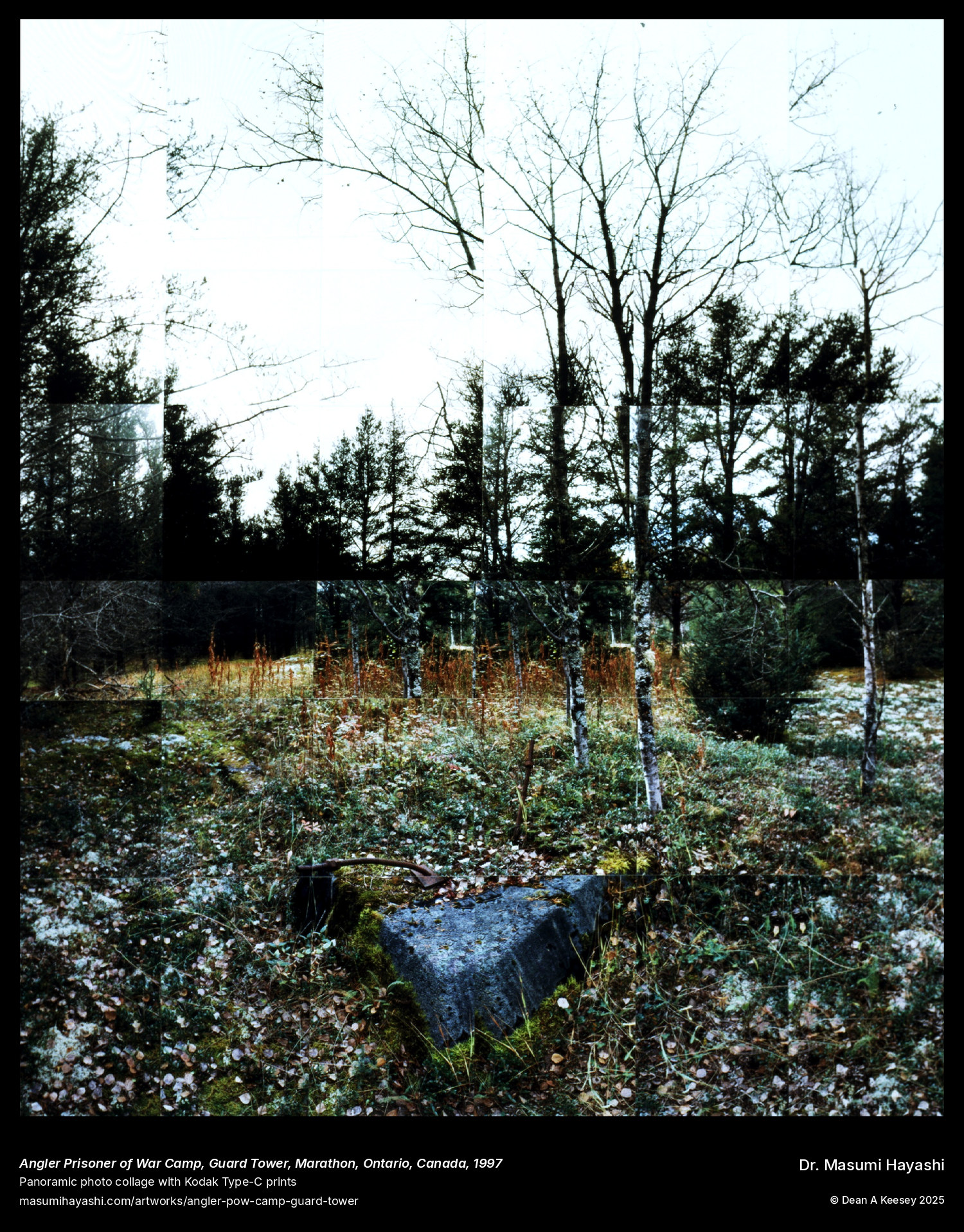 Picture of Angler Prisoner of War Camp, Guard Tower, Marathon, Ontario, Canada, by Dr. Masumi Hayashi