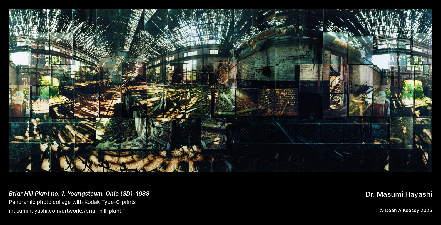 Picture of Briar Hill Plant no. 1, Youngstown, Ohio  (3D) by Dr. Masumi Hayashi