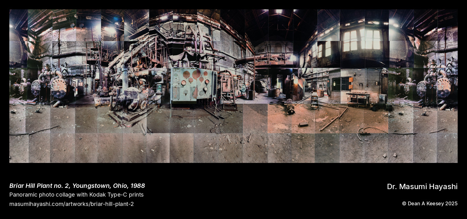 Picture of Briar Hill Plant no. 2, Youngstown, Ohio by Dr. Masumi Hayashi