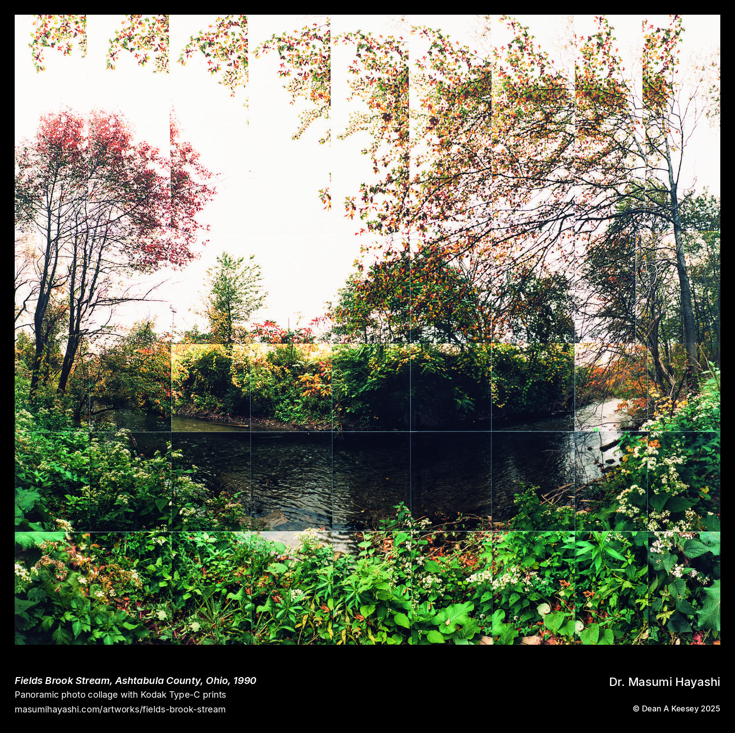 Picture of Field Brook Stream, Ashtabula County, Ohio by Dr. Masumi Hayashi