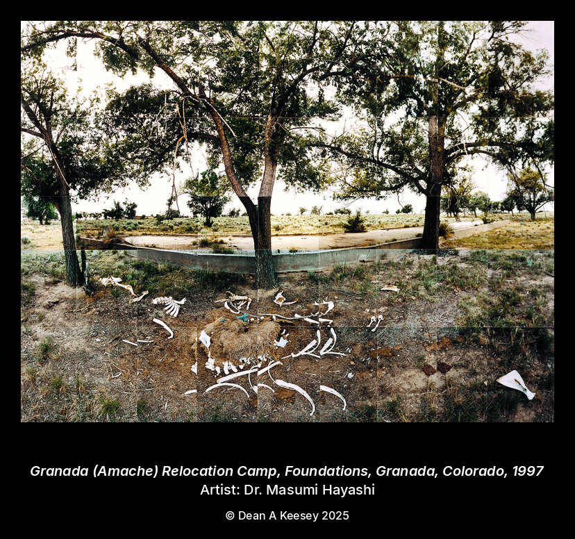 Granada (Amache) Relocation Camp, Foundations, Granada, Colorado