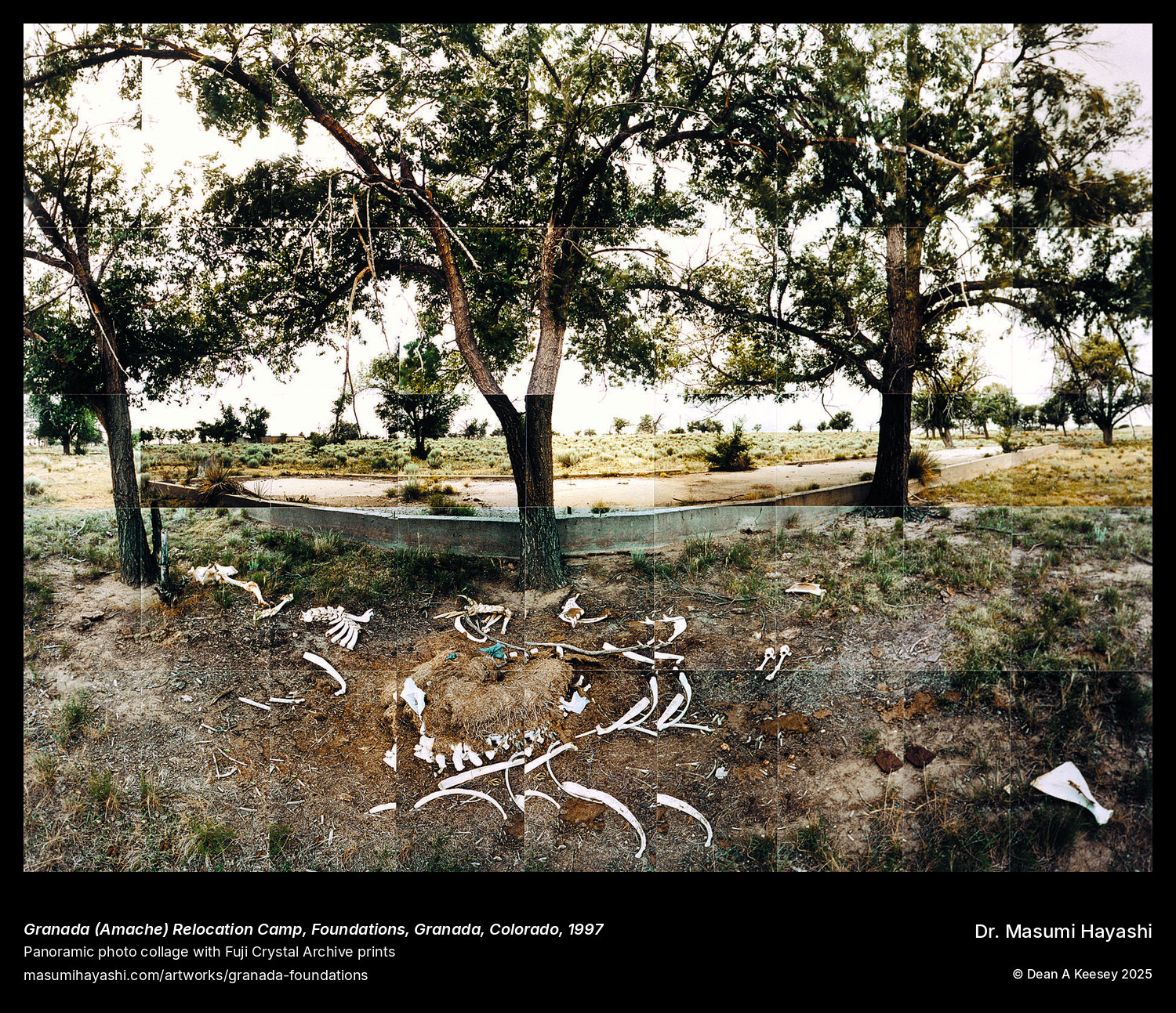Picture of Granada (Amache) Internment Camp, Foundations, Granada, Colorado, by Dr. Masumi Hayashi