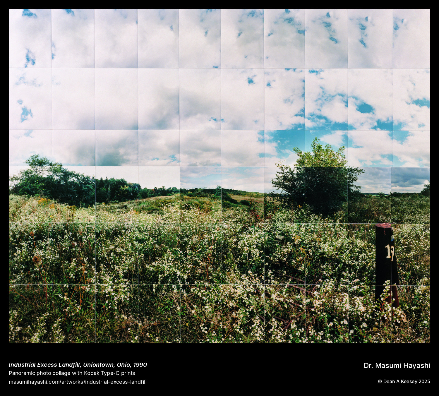 Picture of Industrial Excess Landfill, Uniontown, Ohio by Dr. Masumi Hayashi