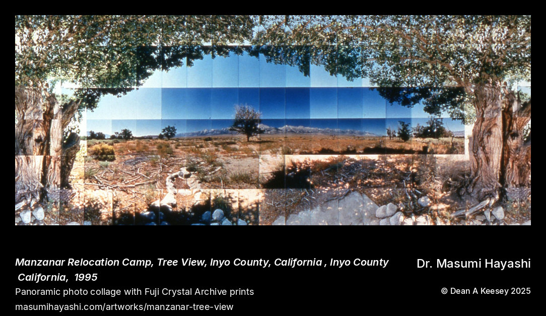 Manzanar Relocation Camp, Tree View, Inyo County, California — photographed by Masumi Hayashi