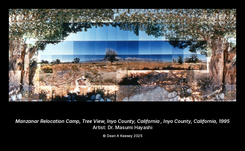 Manzanar Relocation Camp, Tree View, Inyo County, California , Inyo County, California