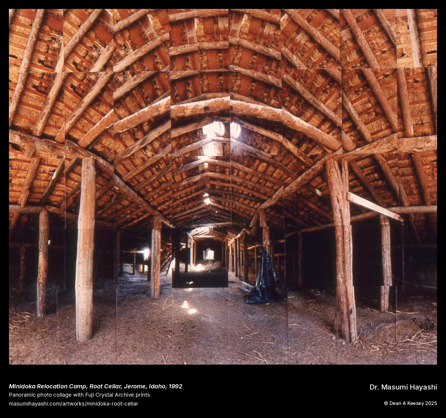 Picture of Minidoka Relocation Camp, Root Cellar, Jerome, Idaho, by Dr. Masumi Hayashi