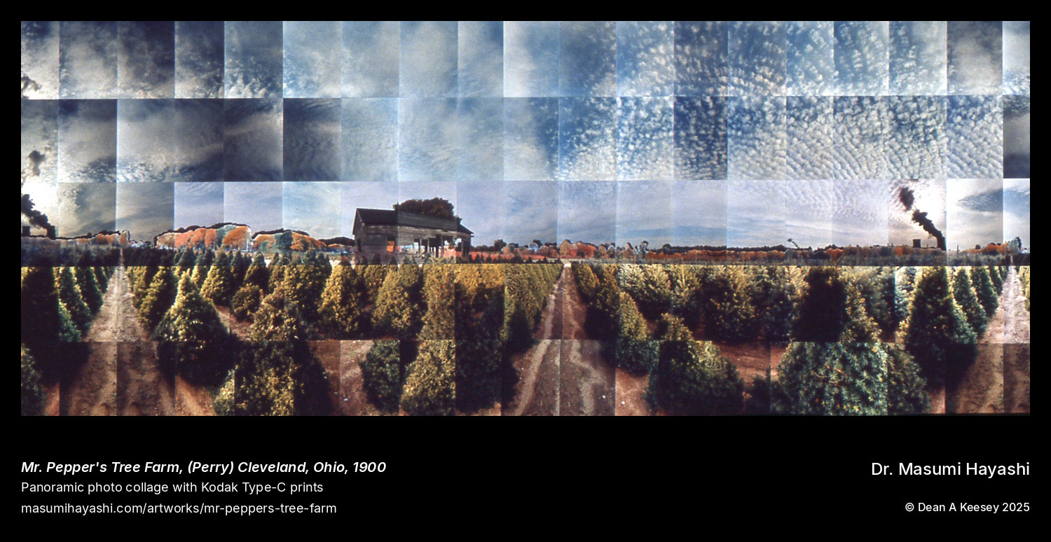 Picture of Mr. Pepper's Tree Farm (Perry), (Perry) Cleveland, Ohio, by Dr. Masumi Hayashi