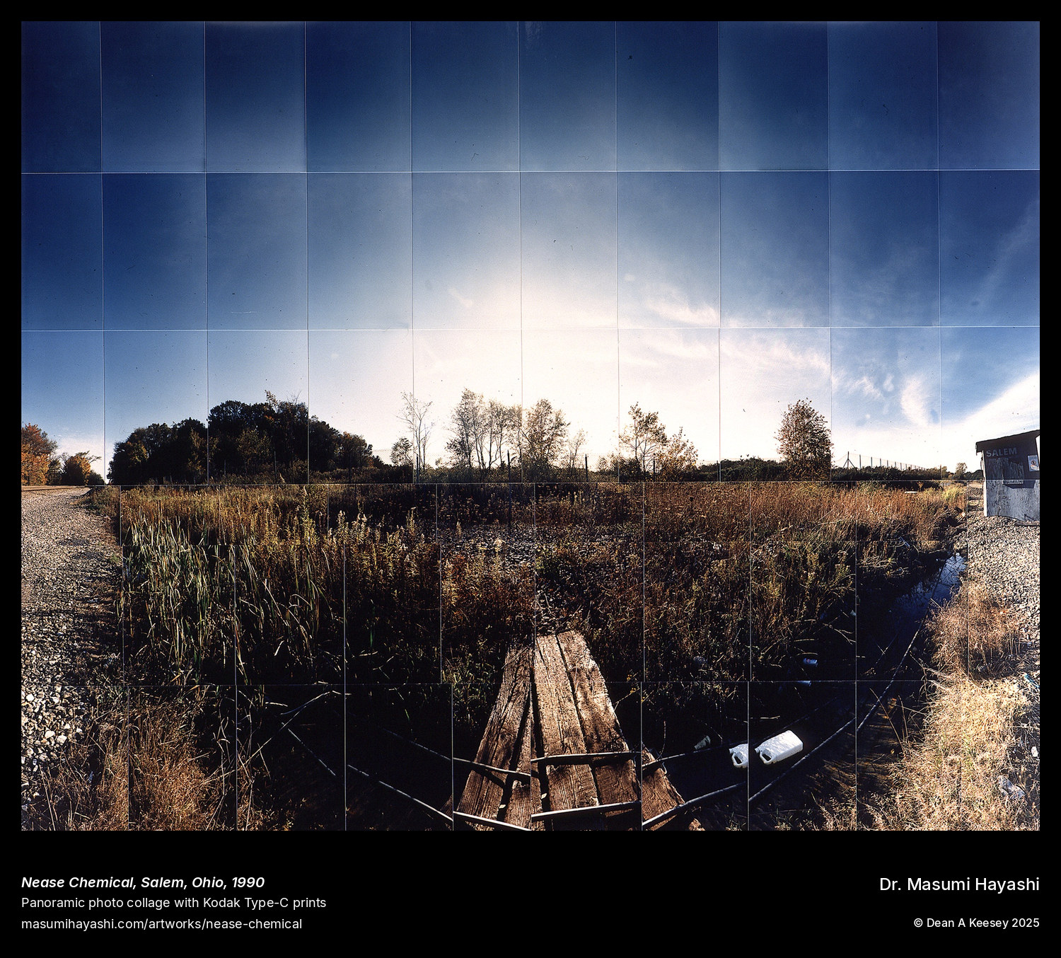 Picture of Nease Chemical, Salem, Ohio by Dr. Masumi Hayashi