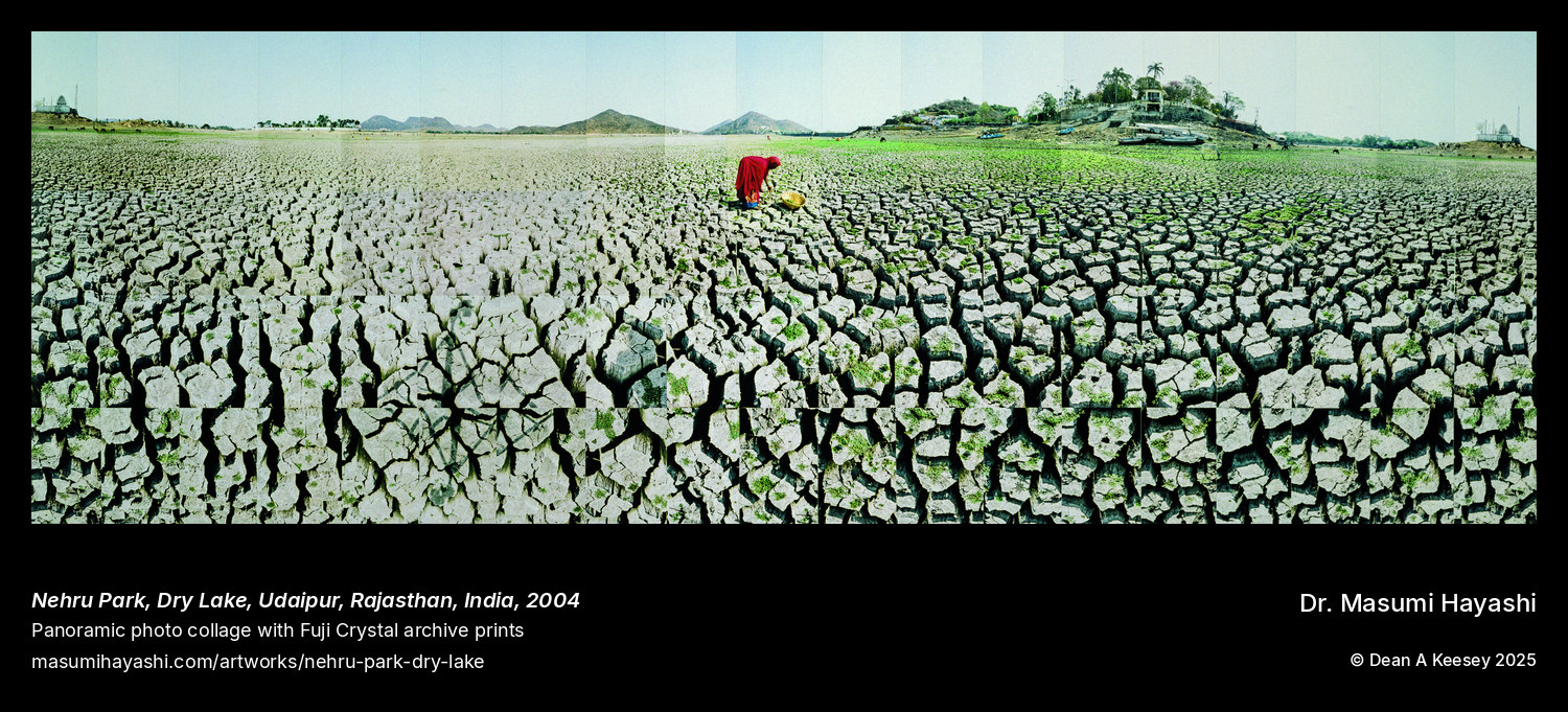 Picture of Dry Lake, Nehru Park, Udaipur, Rajasthan, India by Dr. Masumi Hayashi