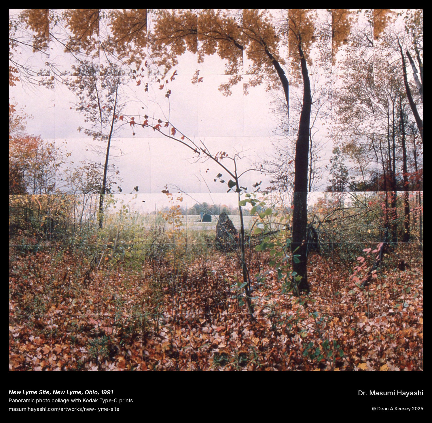 Picture of New Lyme Site, New Lyme, Ohio by Dr. Masumi Hayashi