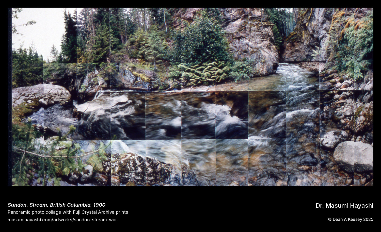 Picture of Sandon, Stream, British Columbia, by Dr. Masumi Hayashi