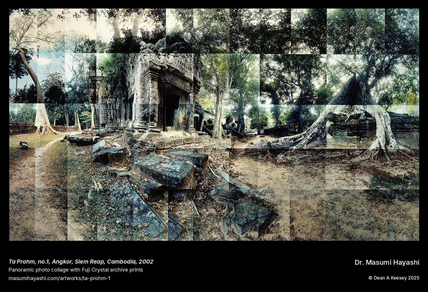 Picture of Ta Prohm, no. 1, Angkor, Siem Reap, Cambodia