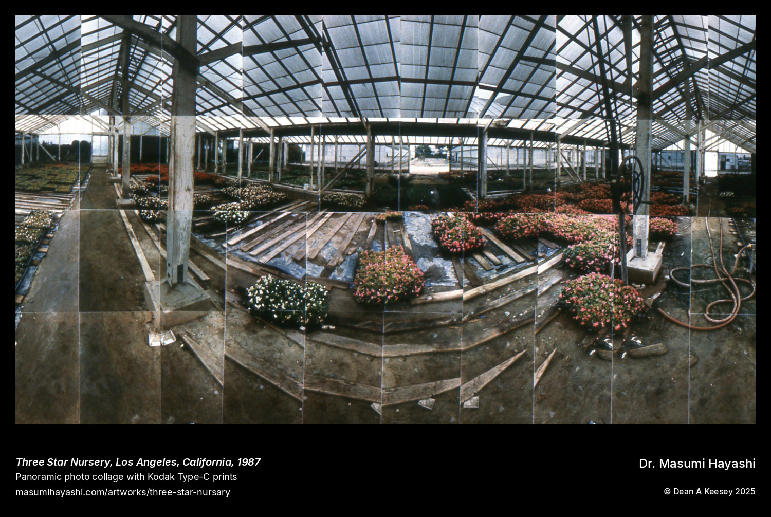 Picture of Three Star Nursery, Los Angeles, California by Dr. Masumi Hayashi